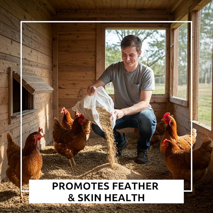 World’s Best Chicken Dust Bath – Natural Wood Ash, Sand & Fine Dust Blend – Safe for All Chickens (20 Pounds)