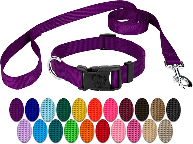 Country Brook Petz - Everyday Nylon Dog Collar and Leash - 10+ Cool Colors (3/8 Inch, 2XS, Purple)
