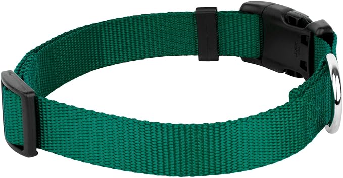 Country Brook Petz - Everyday Nylon Dog Collar and Leash - 10+ Cool Colors (3/8 Inch, 3XS, Green)