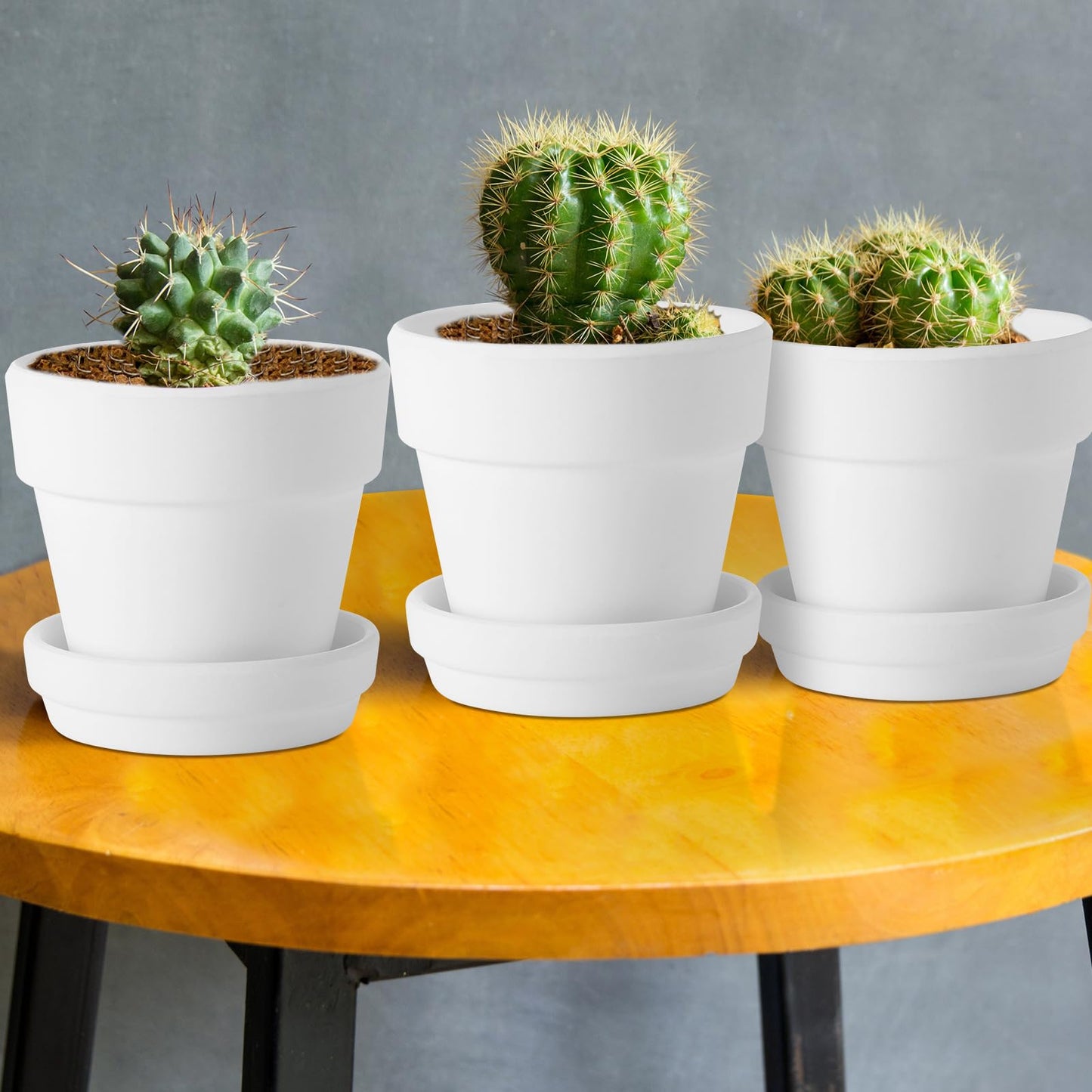 Lallisa 36 Pieces 3 Inch Mini Terracotta Pots with Saucers and Drainage Hole White Paintable Pottery Small Clay Pots for Crafts Mini Planters for Succulents Cactus Flowers Garden Crafts Wedding Decor