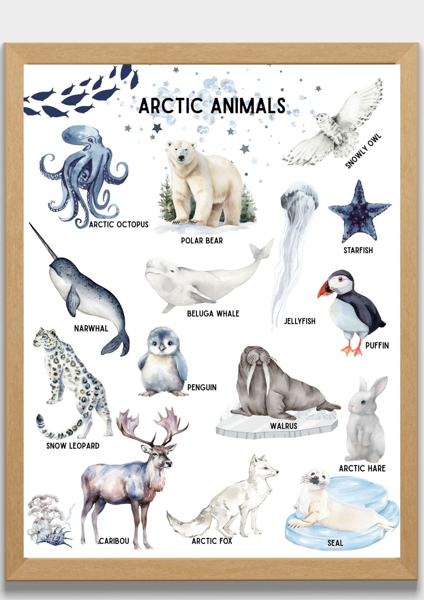 Educational Animal Poster, Preschool Wall Decor for Toddlers Set of 7 Unframed (8''x10'') Kindergarten School, Nursery,Farm, Sea, Desert, Woodland, Arctic Animals & Insects for Kids Room Decor
