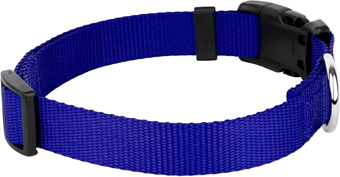 Country Brook Petz - Everyday Nylon Dog Collar and Leash - 10+ Cool Colors (1 Inch, Large, Bright Royal Blue)