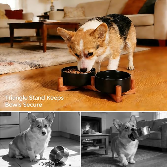 Elevated Ceramic Dog Bowls for Small Dogs, Adjustable Wooden Stand with Raised Food & Water Bowls, Modern Pet Feeding Station for Cats and Small Dogs, Non-Slip 13.5oz Black | Adjustable Wooden Stand