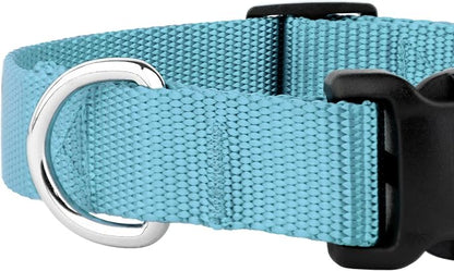 Country Brook Petz - Everyday Nylon Dog Collar and Leash - 10+ Cool Colors (3/8 Inch, 2XS, Ocean Blue)