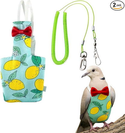 Pigeon Diaper Harness and Bird Leash, Diapers for Birds with Leash, Bird Diapers for Pigeons, Diaper Pants for Cockatiel African Grey Parrot Budgie, Cage Accessories (M-Green)