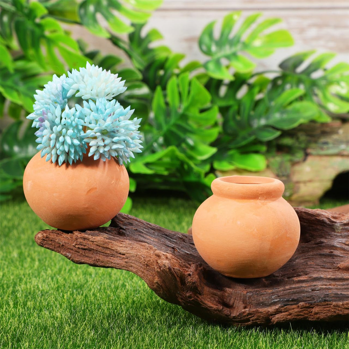 Toddmomy Miniature Terracotta Succulent Pots 12Pcs Mini Clay Flower Planting Pots for Indoor Plants, Cactus, Fairy Garden, DIY Crafts, Home Decor Accessories