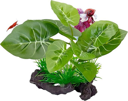 CTWPets Betta Driftwood Decor – Soft Silk Aquarium Plant for Betta Fish, Shrimp, and Tropical Tanks – Safe, Vibrant Aquascape Decoration (Heartleaf)