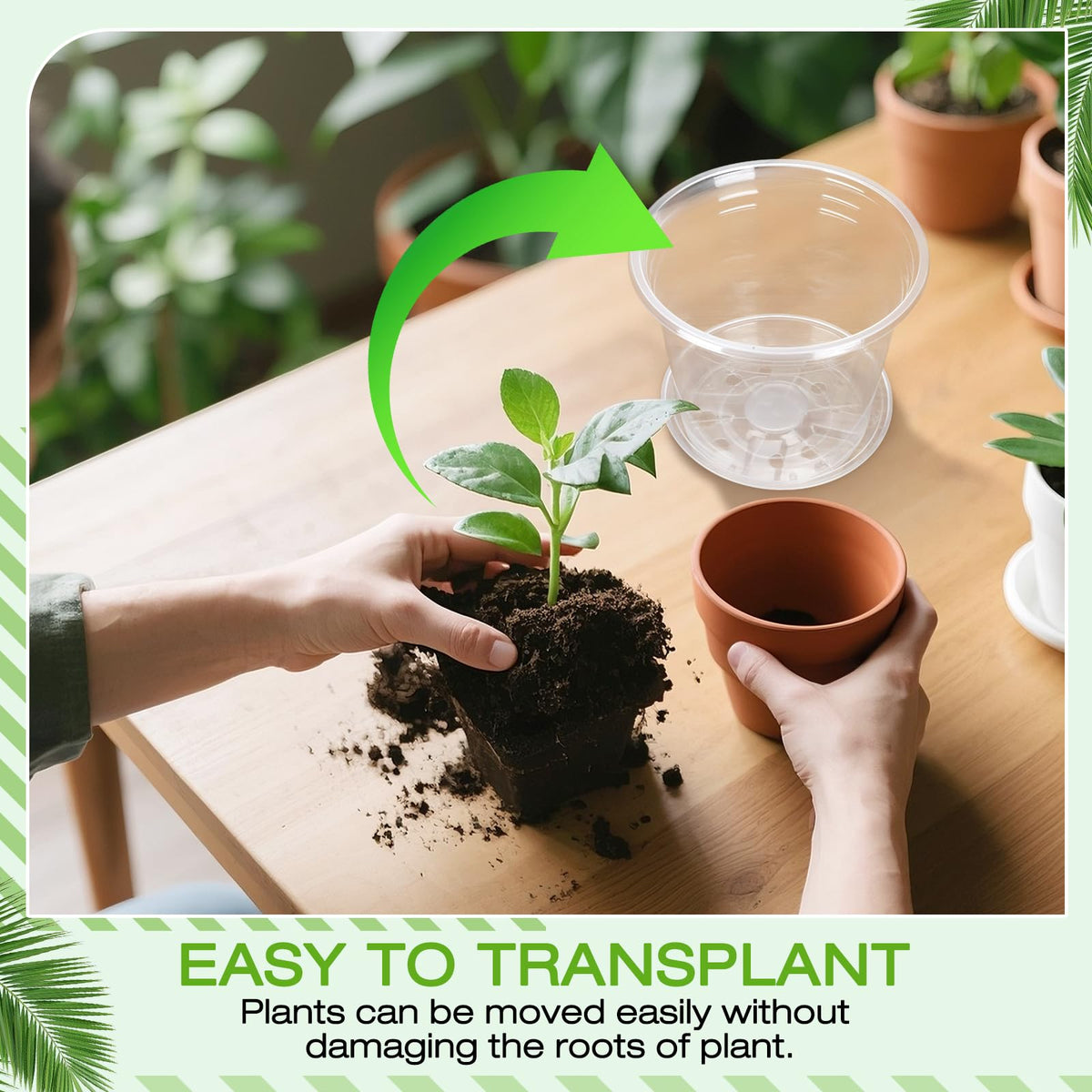 FUOAUYK 3 Inch Clear Nursery Pots with Drainage Trays, 15 Pack Plastic Pots for Plants, Clear Pot for Seed Starting, Transplanting, Succulents, and Indoor Gardening (3 inch)