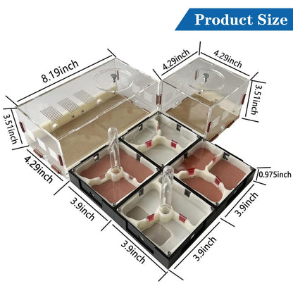 Ants Footsteps Ant Farm Nest Science DIY Terrarium Kit Care for Live Ants Ant Habitat with Water Tower Nurturing Room and Comprehensive Observation