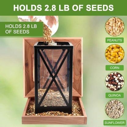 Cedar & Metal Frame Bird Feeder for Outdoors Hanging Mount Large Capacity, Black Wooden Garden Roof Feeder Lantern Style, Cardinal Bluebird Birdfeeder with Iron Frame Wall for Garden Decor Durable