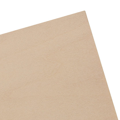 LEXININ 20 PCS 4 x 4 x 1 Inch Square Wood Carving Blocks, Unfinished Basswood Blocks, Blank Wooden Blocks for Crafts, DIY Projects, Carving