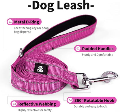IVY&LANE 2 Pack Reflective Dog Collars and Leashs Set,Adjustable Neoprene Padded Dog Collar for Puppy, Breathable Nylon Pet Collar for Small Medium Large Dogs(Small,Fuchsia+Teal)