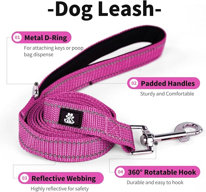 IVY&LANE Reflective Dog Collar and Leash Set,Adjustable Neoprene Padded Dog Collars, Breathable Nylon Pet Collar for Small Medium Large Dogs(X-Small,Fuchsia Pink)