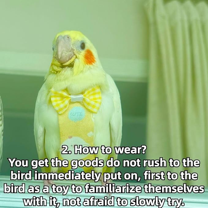 Bird Diaper Protective Parrot Nappy - 4 Pack, Reusable Flight Suit with Waterproof Inner Layer, Adjustable Shoulder Straps, Washable Cute Urine Wet Suit for Parakeet Conure (Macaw)