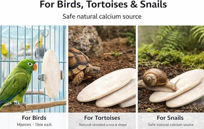 Birds LOVE 3.5-4″ Cuttlebone for Birds – 100% Natural Sun-Dried Calcium Carbonate Mineral Supplement – for Parakeets, Budgies, Cockatiels, Finches & Canaries – 12 Pack with Holder – Made in Vietnam