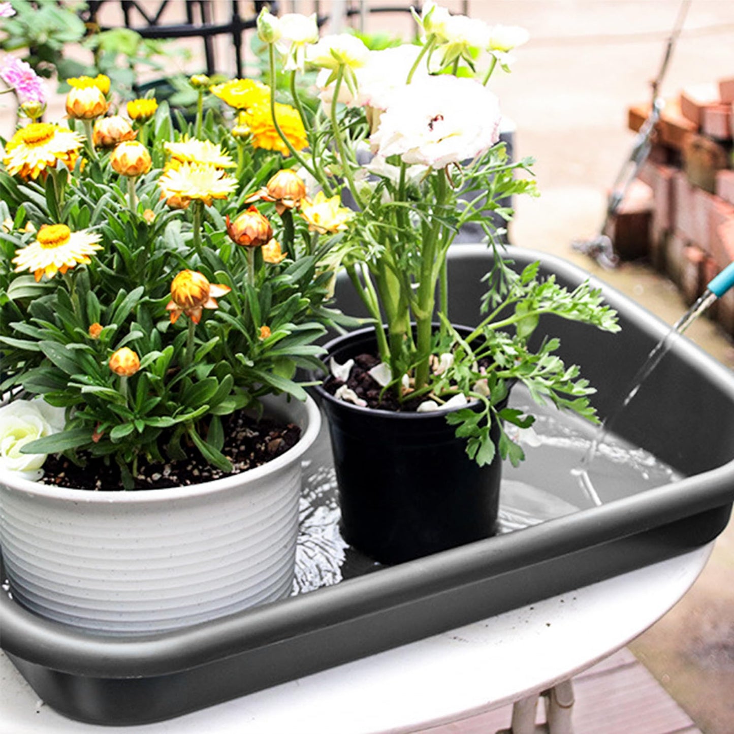 Luwint Garden Tidy Potting Tray, Plant Reportting Tray for Indoor Transplanting Gardening Planting Accessories Large Succulent Table (Black)