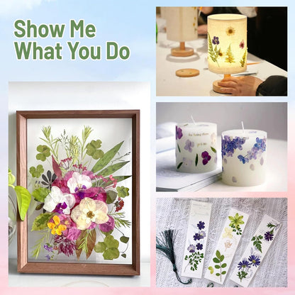 Suziko Large Flower Press Kit with Tulip Pattern for Adults & Kids - 10.8 x 6.9 Inch Flower and Leaf Preservation Art Craft Kit, Great Gift for Nature Lovers