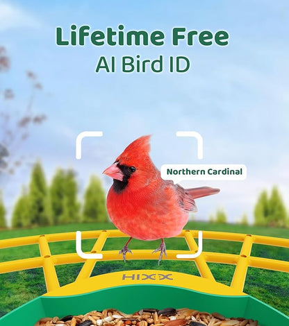 HIXX Smart Bird Feeder with Camera, AI Identify Birds & Auto Capture, 2K HD Live Camera Birdwatching with Color Night Vision for Bird Lovers Gifts (Green)