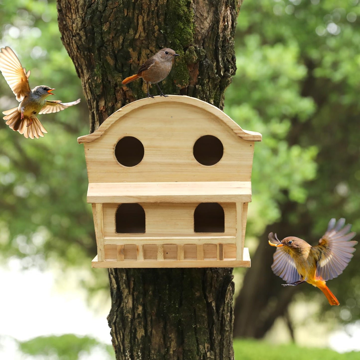 Bird Houses for Outside, 4 Hole Wooden Birdhouse for Outdoor Large Hanging Bird House Backyard Birding & Wildlife Humming Bird Houses (Four Hole)