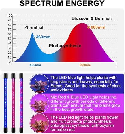 LED Grow Lights for Indoor Plants, 80W Plant Grow Lights Full Spectrum Auto ON Off with 3/9/12H Timer, 9 Dimmable Lightness Clip-On Desk Grow Lamp Bulbs (4 Heads)