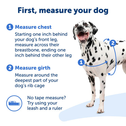 PetSafe Easy Walk Deluxe Dog Harness, No Pull Dog Harness – Perfect for Leash & Harness Training – Stops Pets from Pulling and Choking on Walks – Medium, Ocean