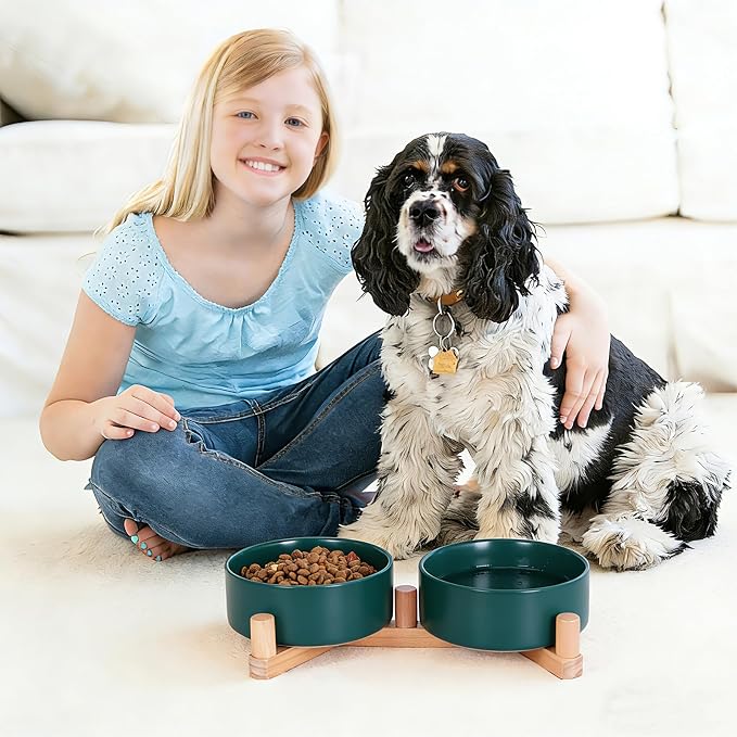 Elevated Ceramic Dog Bowls for Small Dogs, Raised Dog Bowl Set with Adjustable Wood Stand, Non-Slip Pet Feeding Station, Food & Water Bowls for Cats & Small Dogs 13.5 oz (Green)