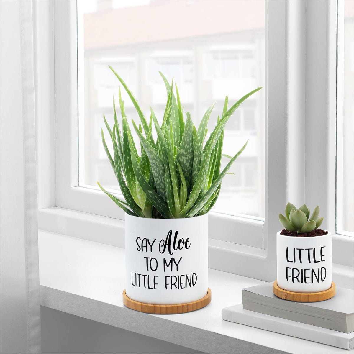 Tuitessine Say Aloe to My Little Friend Planter Plant Lover Set of 2 Spring Funny Pun Flower Pot with Bamboo Tray Ceramic Indoor Succulent Hole Spring Birthday Housewarming Gifts (No Plants)