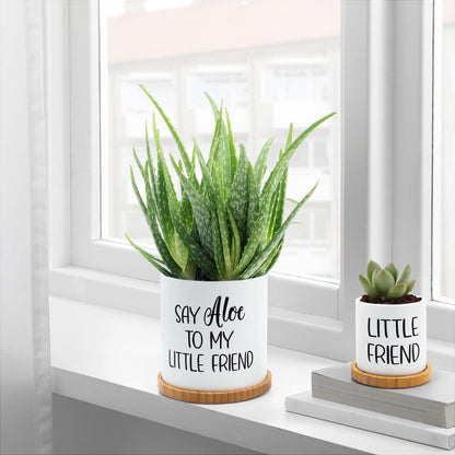Tuitessine Say Aloe to My Little Friend Planter Plant Lover Set of 2 Spring Funny Pun Flower Pot with Bamboo Tray Ceramic Indoor Succulent Hole Spring Birthday Housewarming Gifts (No Plants)