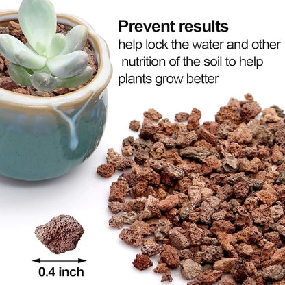 TOYPOPOR Red Lava Accent Rocks Outdoor Decorative Stones for Craft Projects, Vase Fillers, Succulents, Cactus Pots, Terrarium Plants 2.2LB