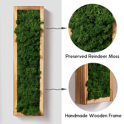Mokof 2 Pack Moss Wall Art | 17.3-inch Vertical Wood Frame | Forest Green