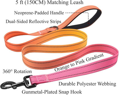 Dog Collar Leash Set, Gradient Color, with Safety Reflective Strips, 5 ft Matching Leash, Neoprene Padded Handle, Adjustable 4 Sizes for Small Medium Large Dogs.(M, Orange Pink)