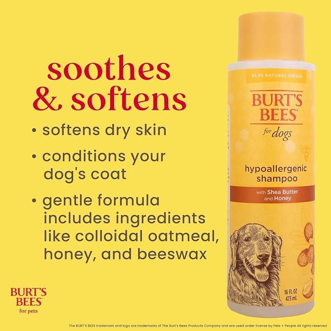 Burt's Bees for Pets Hypoallergenic Dog Shampoo with Shea Butter and Honey, Gentle Fragrance Free Shampoo for Sensitive Dogs with 95% Natural Origin Skin and Coat Formula, 16 Fl Oz - 2 Pack