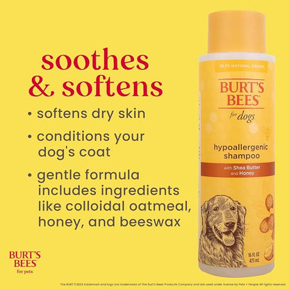 Burt's Bees for Pets Hypoallergenic Dog Shampoo with Shea Butter and Honey, Gentle Fragrance Free Shampoo for Sensitive Dogs with 95% Natural Origin Skin and Coat Formula, 16 Fl Oz - 2 Pack