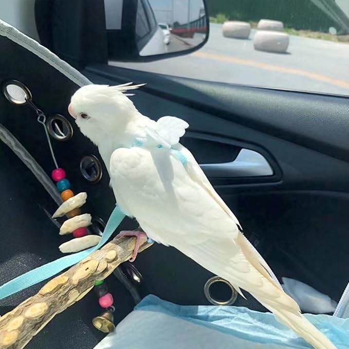 Pet Parrot Bird Harness Leash Adjustable Bird Flying Harness Traction Rope with Cute for Parrots Budgerigar Lovebird Cockatiel Mynah Outdoor Training Toy (Budgerigar/Lovebird,White)