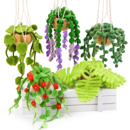 OEHPICC Needle Felting Kit, 5 Pack Hanging Plants Needle Felt Beginner Kit, Including Basic Felting Tools, Instructions, Felt Craft Kit for Indoor Outdoor Office and Home Decor