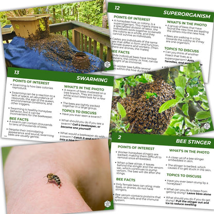 Educational Beekeeping Cards – 12x18 Oversized Beekeeping Flashcards for Teaching Bees and Beekeeping - Classroom and Workshop Learning Tool (Expansion Set - Laminated)