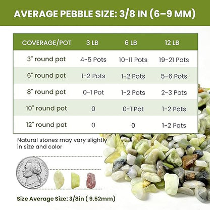 3/8 Inch Polished Decorative Pebbles, River Rocks for Indoor Plants, Succulents, Planters, Vases, Fish Tank, Aquarium Gravel & Landscaping, Jade Green, 12LB