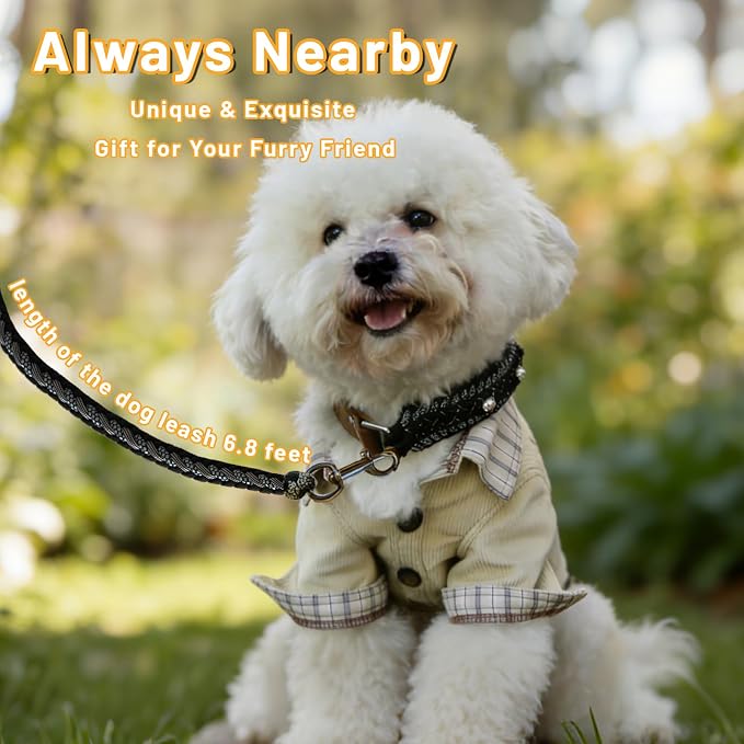 Paracord Dog Collar, Adjustable Soft Nylon Pet Collars for Medium Large Dogs(19"-23"), Stylish Pet Gear for Boys, XL(Set of 1, Black Skull Collar+Leash)