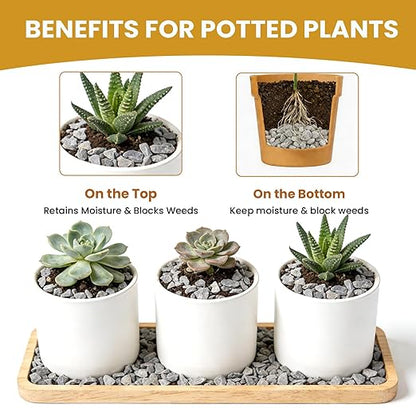 1/8 Inch Aquarium Gravel, Small Pebbles for Fish Tank & Indoor Plants, Natural Mini River Rocks for Succulent Soil Mix, Drainage, Terrarium & Vase Filler - Gray, 6 lb