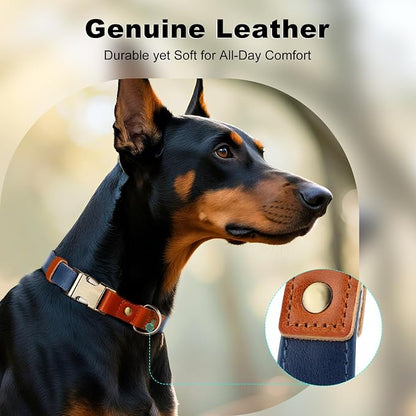 Plutus Pet Genuine Leather & Hemp Dog Collar – Adjustable Heavy Duty Pet Collar with Quick Release Metal Buckle, Soft & Stylish for Puppy and Small, Medium, Large Dogs (Royal Blue, XS)