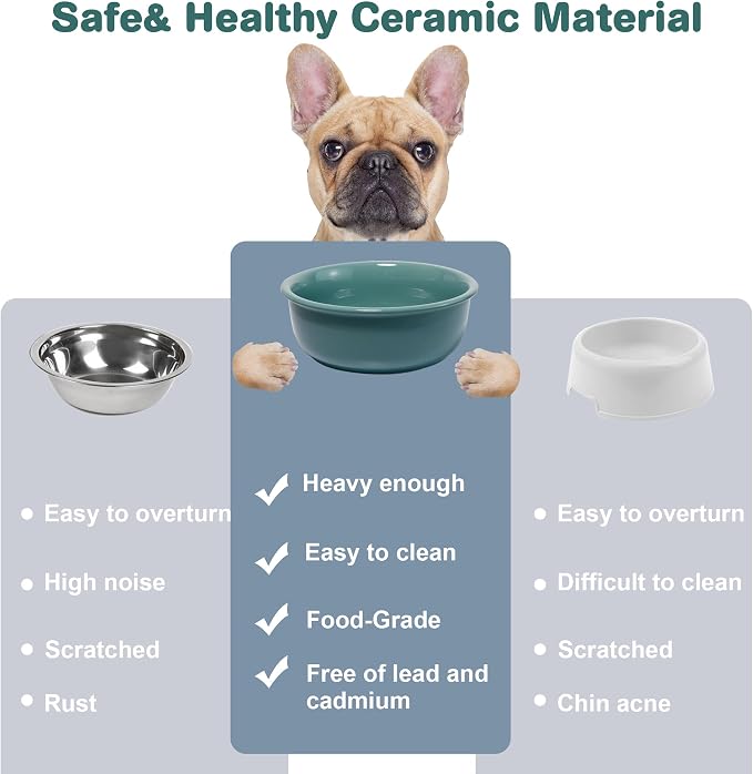 Wordcam 28oz Ceramic Dog Bowls, Durable Modern Pet Food and Water Bowls for Small Medium Dogs and Cats, Replacement Bowls for Wordcam SS03 Model (Dark Green)