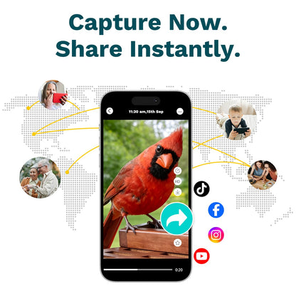 Birdster Smart Bird Feeder with Camera Solar Powered AI Identification 10,000+ Bird 2K UHD Video Live Instant Arrival Alerts and Real-Time Motion Detection Weatherproof Bamboo for Outdoor Birds Lovers