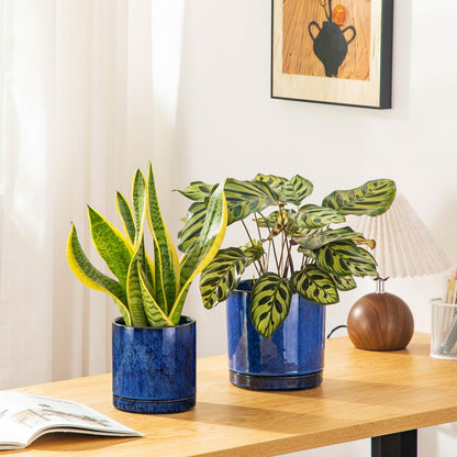 vancasso Ceramic Plant Pots, 3 Piece Planters for Indoor Plants, 4.25+5.25+6.25 Inch Flower Pots with Drainage, Plant Pots Indoor for Succulent, Pothos, Snake Plant and Money Tree, Etc (Blue)
