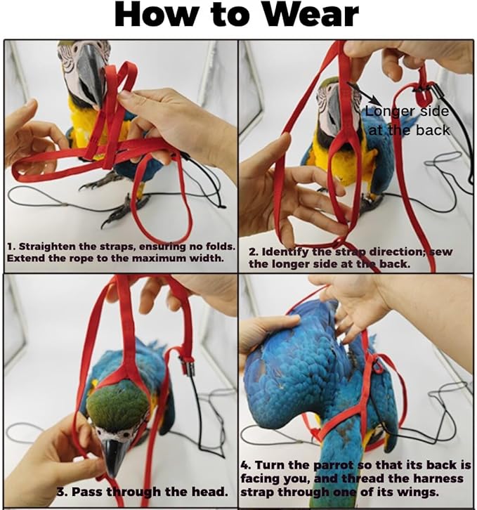 Adjustable Bird Harness and Leash for Parrots Outdoor Flight Training Anti-Bite Light Weight Easy-to-Wear Bird Vest with 59 Inch Elastic Leash for Quaker Conure African Grey Macaw Cockatoo (M)