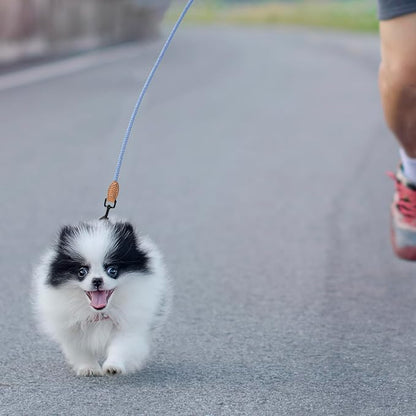 Mile High Life Small Dog Leash, Thin Rope Leash with Genuine Leather Connection and Heavy Duty Metal Clasp, Great for Small Medium Dogs(Blue White,60 Inch-1/3)