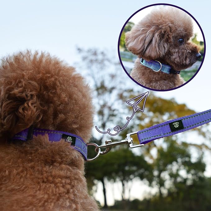 NESTROAD Dog Collar and Leash Set,Reflective Dog Collars with Quick Release Buckle,Adjustable Nylon Pet Collar for Small Medium Large Dogs(Large,Purple)