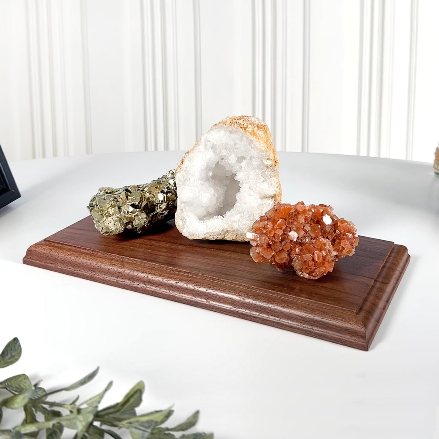 Plymor Solid Walnut Rectangular Wood Display Base with Ogee Edge, 10.75" W x 6.125" D x 0.75" H