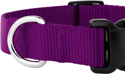 Country Brook Petz - Everyday Nylon Dog Collar and Leash - 10+ Cool Colors (3/8 Inch, 3XS, Purple)