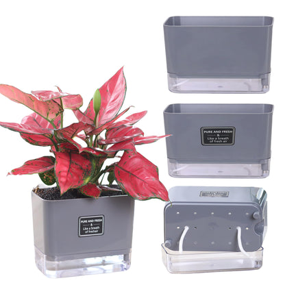 FAMZ Self Watering Pots for Outdoor Plants 4 Pack, Suitable for Indoor and Outdoor Garden Plants and Flowers, Rectangle Planter Box, African Violet Pots, Plant pots, Small Planter (7" Gray)