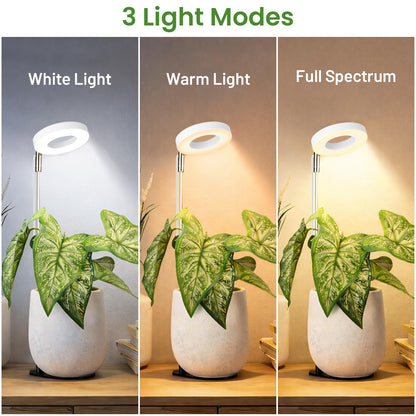 LBW Grow Light for Indoor Plants, Height Adjustable Plant Grow Lamp with Auto On/Off Timer 6/8/12/16H, 3 Colors,5 Dimmable Brightness, for Small Plants, White, 2 Packs